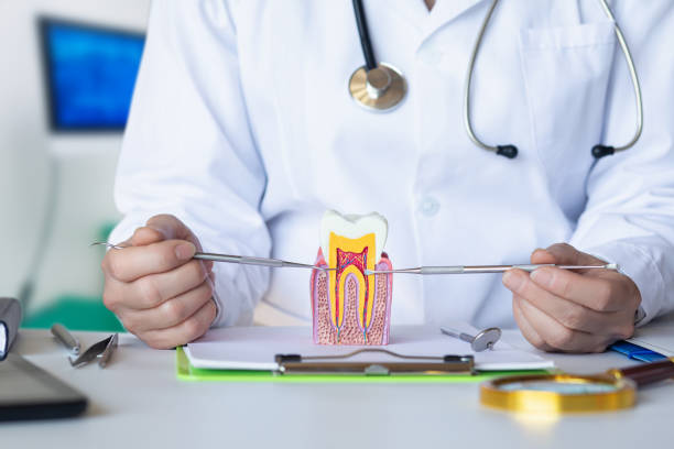 Best Weekend Emergency Dental Services in Butler, IN